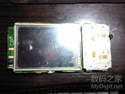 數字產品技術交流平臺 推動創新與協作的橋梁