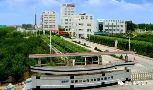 聚酯公司榮膺自治區綠色工廠稱號 以技術引領，鑄就綠色可持續發展新標桿