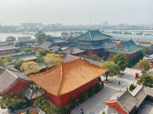 國內旅游多為啥還要出國？揭秘國外旅游的真實魅力